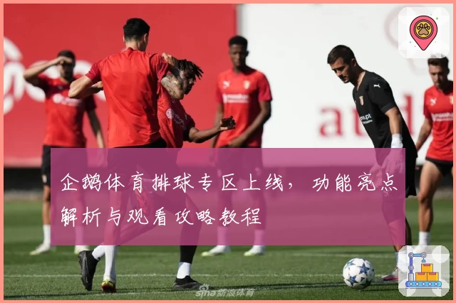 企鹅体育排球专区上线，功能亮点解析与观看攻略教程