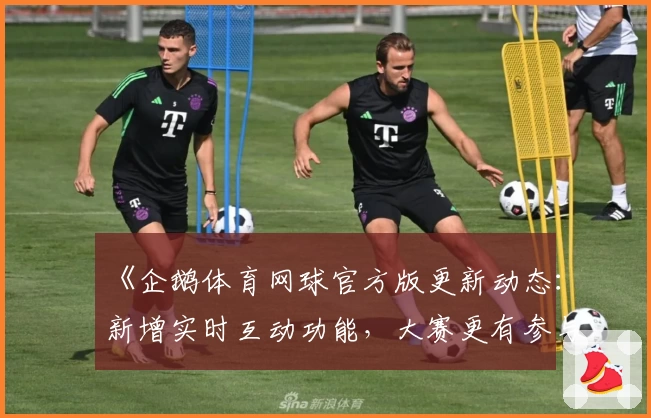 《企鹅体育网球官方版更新动态：新增实时互动功能，大赛更有参与感》