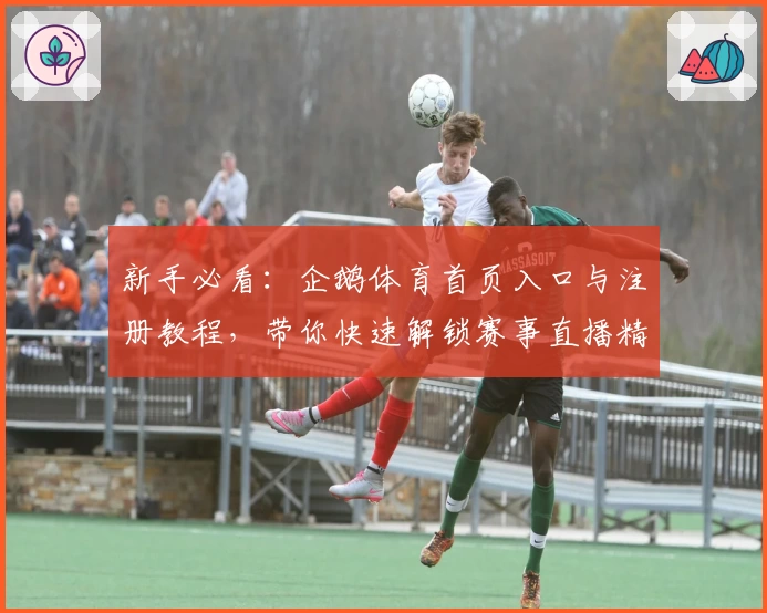 新手必看：企鹅体育首页入口与注册教程，带你快速解锁赛事直播精彩瞬间