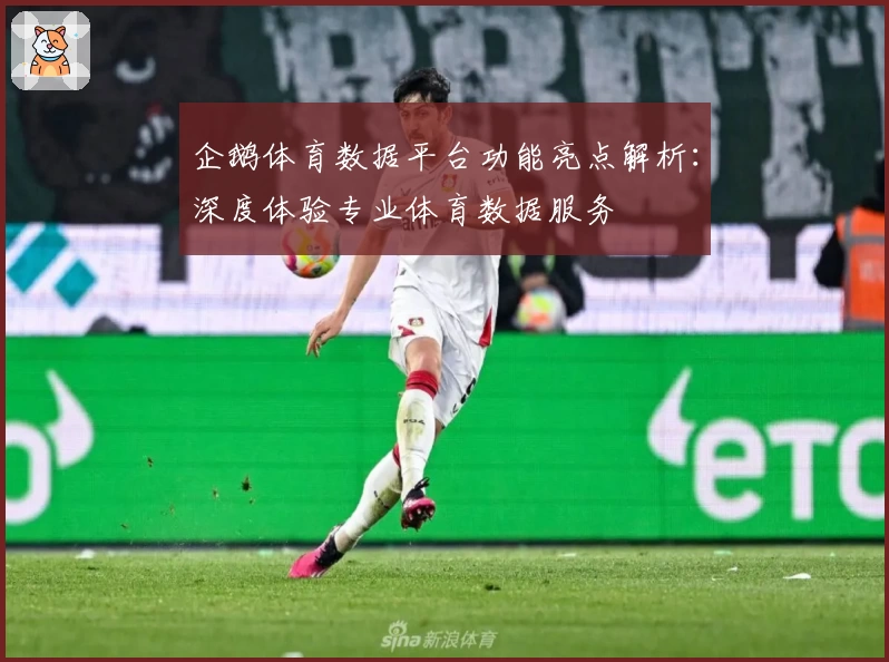 企鹅体育数据平台功能亮点解析:深度体验专业体育数据服务