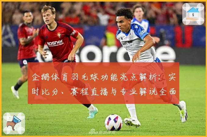 企鹅体育羽毛球功能亮点解析：实时比分、赛程直播与专业解说全面覆盖