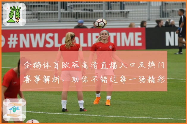 企鹅体育欧冠高清直播入口及热门赛事解析，助你不错过每一场精彩对决