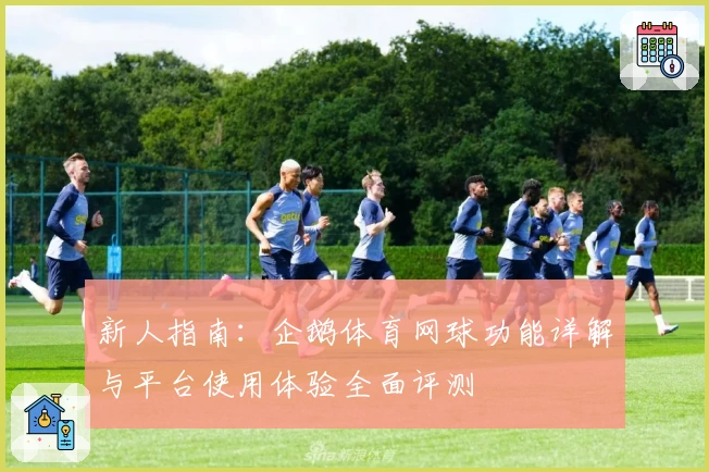 新人指南：企鹅体育网球功能详解与平台使用体验全面评测