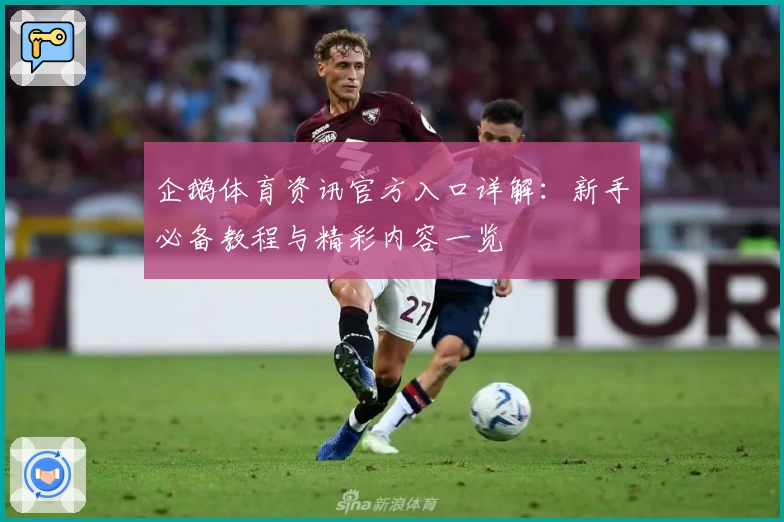 企鹅体育资讯官方入口详解：新手必备教程与精彩内容一览
