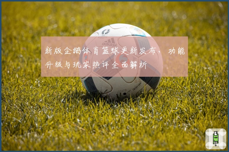 新版企鹅体育篮球更新发布，功能升级与玩家热评全面解析