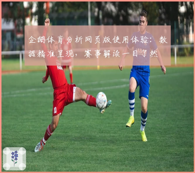 企鹅体育分析网页版使用体验:数据精准呈现,赛事解读一目了然