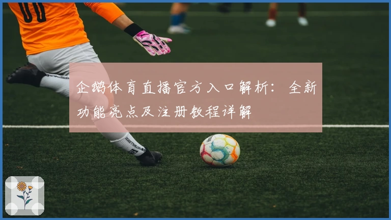 企鹅体育直播官方入口解析：全新功能亮点及注册教程详解