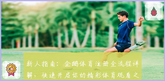 新人指南：企鹅体育注册全流程详解，快速开启你的精彩体育观看之旅